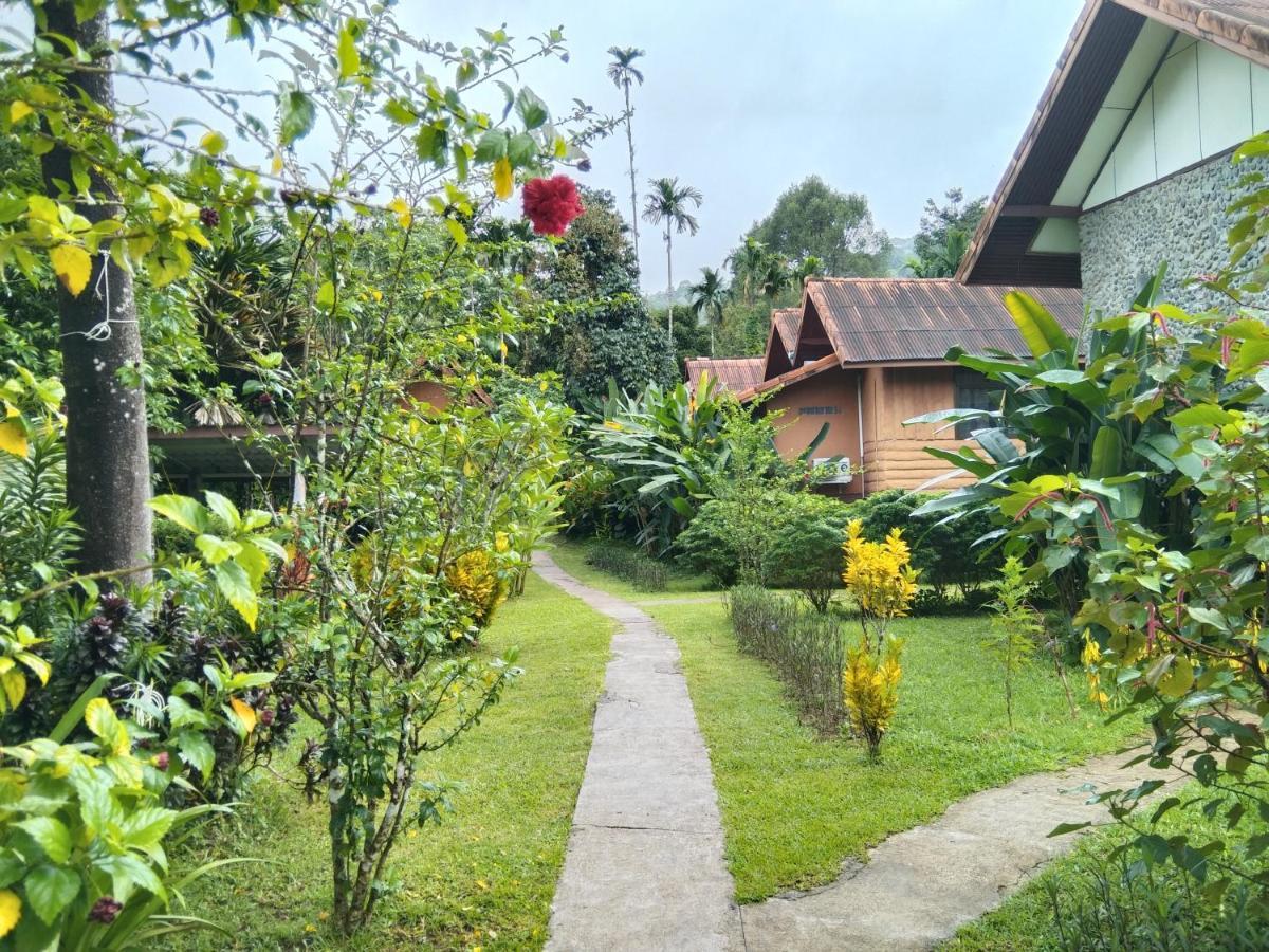 Khao Sok River & Jungle Resort Khao Sok National Park Buitenkant foto